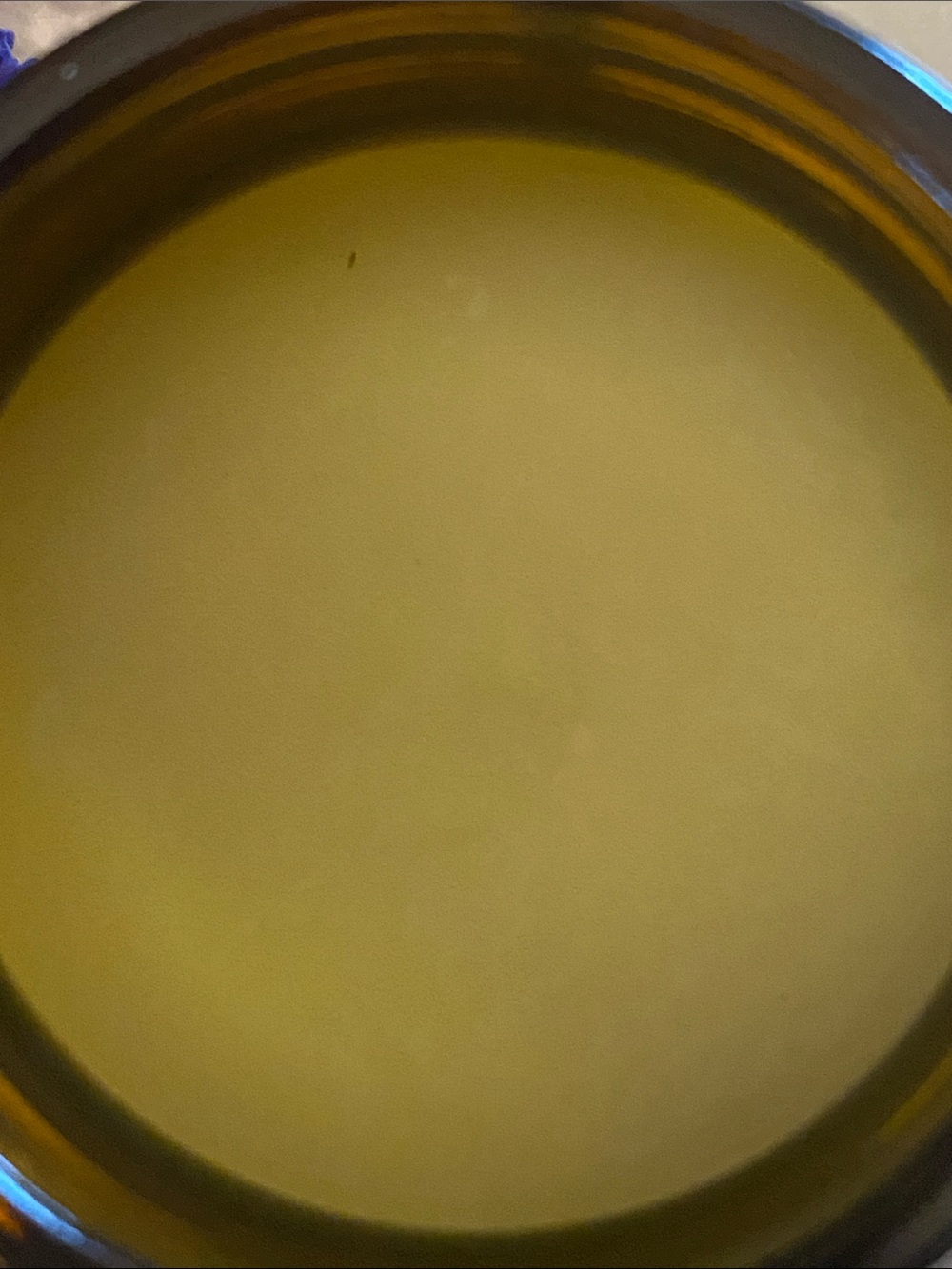 Moisturizer - Beef Tallow Blend - Picture 3 of 4